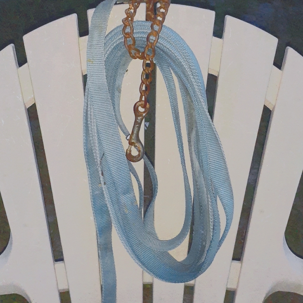 Baby blue 30 ft lunge line with stud chain